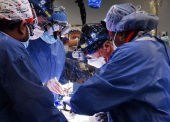 პირველად ადამიანს გენეტიკურად მოდიფიცირებული ღორის გული გადაუნერგეს