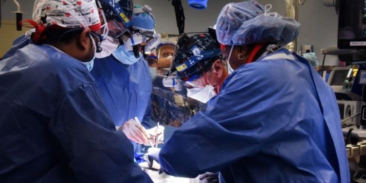 პირველად ადამიანს გენეტიკურად მოდიფიცირებული ღორის გული გადაუნერგეს