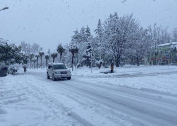 უგზოობა და უშუქობა- დიდთოვლობამ გურიაში მნიშვნელოვანი პრობლემები შექმნა