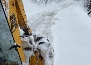 თოვლი გურიაში – რა ხდება რეგიონში