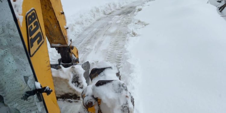 თოვლი გურიაში – რა ხდება რეგიონში