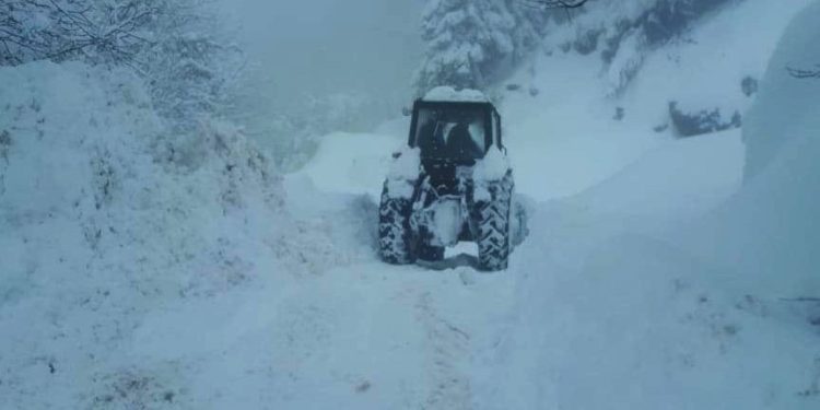 აჭარის მაღალმთიან სოფლებში დიდთოვლობამ პრობლემები შექმნა