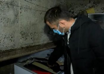 თბილისში ხორცის გადამამუშავებელ ბიზნესოპერატორს საწარმოო პროცესი შეუჩერდა