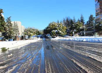 ოზურგეთის რომელ სოფლებში მიმდინარეობს გზის გაწმენდა – მერია ინფორმაციას ავრცელებს