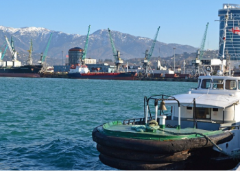 გარემოსდაცვითი ზედამხედველობის დეპარტამენტმა ბათუმში, მძაფრი სუნის გავრცელების ფაქტზე საქმის წარმოება დაიწყო