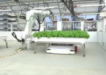 სათბურის რობოტები წყალს და დენს 90%-ით ზოგავს