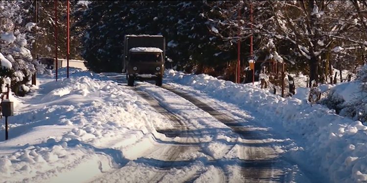 რა პრობლემები შექმნა თოვლმა გურიაში და რა სიტუაციაა ამ დროისათვის