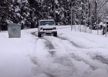 გურიის ახალი ამბები – 19.01.2021