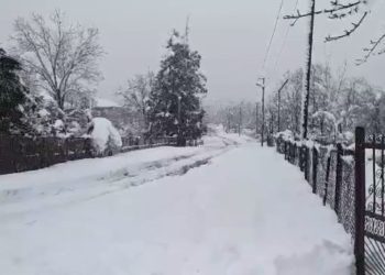 რა პრობლემები შექმნა დიდთოვლობამ აკეთის თემში?