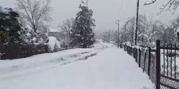 რა პრობლემები შექმნა დიდთოვლობამ აკეთის თემში?