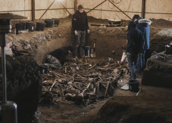 აჭარაში საბჭოთა პერიოდში დახვრეტილი 29 ადამიანის ნეშტი იპოვეს