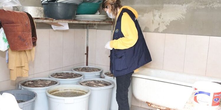 სურსათის სააგენტომ თბილისში ნახევარ ტონამდე გაურკვეველი წარმომავლობის ხორცი გამოავლინა