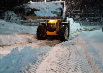 თოვლმა ოზურგეთის სოფლებში გადაადგილების პრობლემები შექმნა – მერიის ინფორმაცია