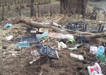 პრობლემა რომელიც ყველას აწუხებს, მაგრამ ცოტა თუ ცდილობს მის მოგვარებას