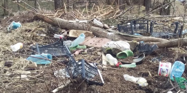 პრობლემა რომელიც ყველას აწუხებს, მაგრამ ცოტა თუ ცდილობს მის მოგვარებას