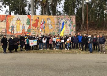 უკრაინის მხარდამჭერი აქცია შრომაში