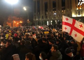 პარლამენტის შენობის წინ უკრაინის მხარდამჭერი აქცია მიმდინარეობს