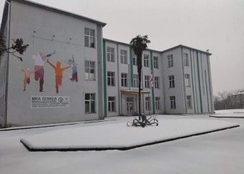 დაბა ლაითურის საჯარო სკოლა ონლაინ სწავლებაზე გადავიდა