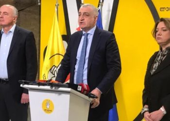 სალომე სამადაშვილი „ლელოს“ უერთდება და პარტიის პოლიტიკური მდივნის თანამდებობას დაიკავებს