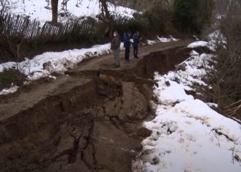 გურიის ახალი ამბები – 04.02.2022