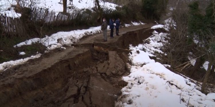 გურიის ახალი ამბები – 04.02.2022