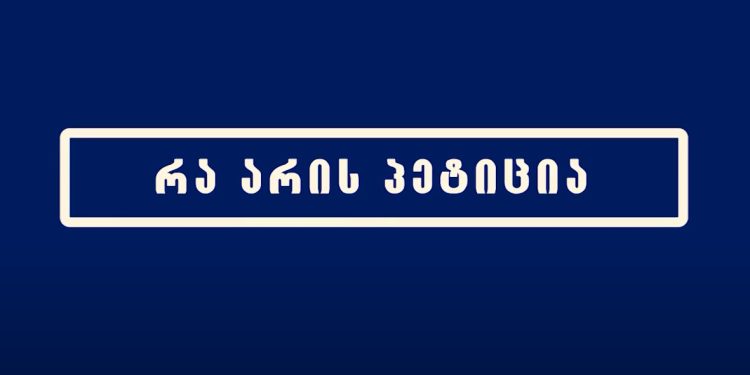 რა არის პეტიცია