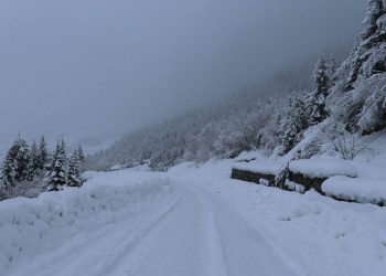 ცხუნკური-მელეს მონაკვეთზე შეზღუდვა დაწესდა