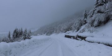 ცხუნკური-მელეს მონაკვეთზე შეზღუდვა დაწესდა