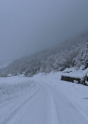 ცხუნკური-მელეს მონაკვეთზე შეზღუდვა დაწესდა
