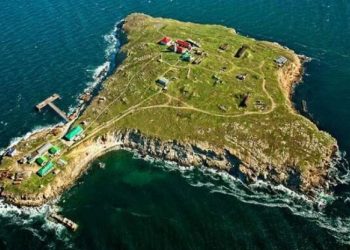 13 უკრაინელი მესაზღვრე ზმეინის კუნძულიდან ცოცხალია – უკრაინის სამხედრო-საზღვაო ძალები