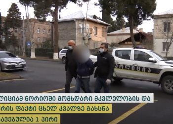 დააკავეს კაცი, რომელმაც სოფელ ნორიოში ერთი კაცი მოკლა და მეორე დაჭრა