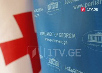 „ქართული ოცნების“ მიერ მომზადებული პარლამენტის რეზოლუცია მოუწოდებს ევროკავშირის წევრ ქვეყნებსა და ევროკავშირის ინსტიტუტებს, გადადგან ყველა საჭირო ნაბიჯი საქართველოს ევროკავშირში გაწევრიანების დასაჩქარებლად