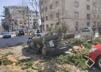 ქუთაისში ძლიერმა ქარმა ხე წააქცია – დაშავდნენ მოქალაქეები