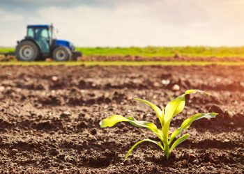 ვის და რა პირობებით შეეძლება ერთწლოვანი კულტურების მოყვანასთან დაკავშირებით „შეღავათიანი აგროკრედიტის“ ფარგლებში ახალი ქვეკომპონენტით სარგებლობა