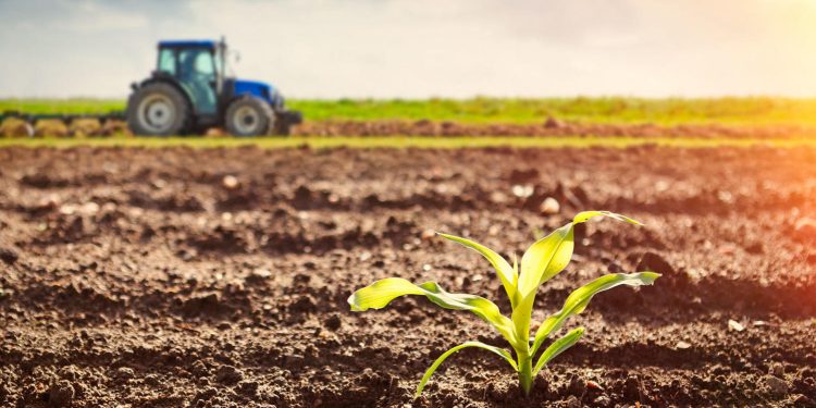 ვის და რა პირობებით შეეძლება ერთწლოვანი კულტურების მოყვანასთან დაკავშირებით „შეღავათიანი აგროკრედიტის“ ფარგლებში ახალი ქვეკომპონენტით სარგებლობა