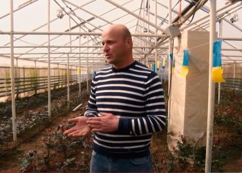 ალექსანდრე ფირცხალაიშვილის ვარდების სათბური