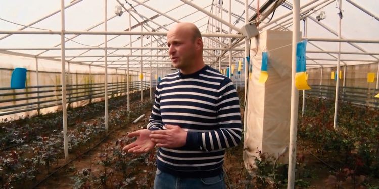 ალექსანდრე ფირცხალაიშვილის ვარდების სათბური