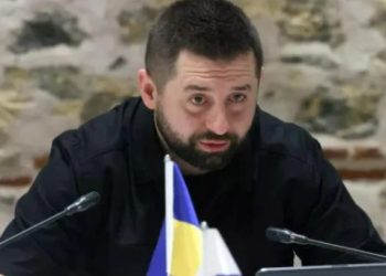 დავით არახამია – უკრაინას სურს, რომ გაეროს უშიშროების საბჭოს წევრები გარანტორი ქვეყნები გახდნენ