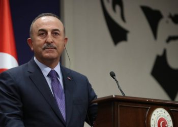 ჩავუშოღლუ: პუტინი ზელენსკისთან პირდაპირი მოლაპარაკებების წინააღმდეგი არ არის