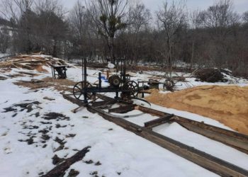 ჩოხატაურისა და ქობულეთის მუნიციპალიტეტებში უკანონო სახერხი საამქროები გამოავლინეს