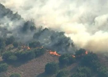 ჩერნობილის მახლობლად ტყის ხანძარი გაჩნდა