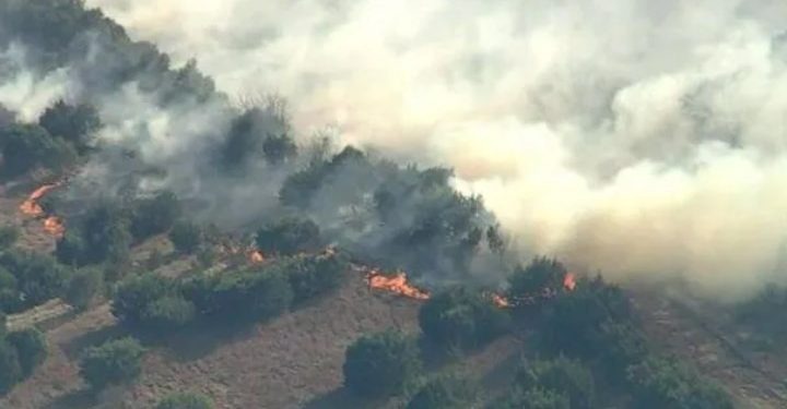 ჩერნობილის მახლობლად ტყის ხანძარი გაჩნდა