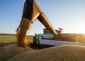 რუსეთი ევრაზიის ეკონომიკური კავშირის ქვეყნებში მარცვლეულის ექსპორტს კრძალავს