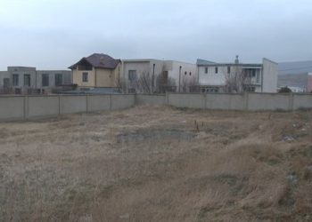 დოკუმენტის გაყალბებისა და ქონების თაღლითურად დაუფლების საქმეზე ერთი პირი დააკავეს