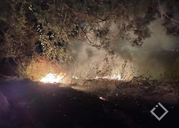 ქობულეთის სოფლებში ხანძრის რამდენიმე კერას ებრძვიან