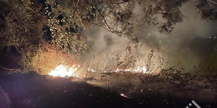 ქობულეთის სოფლებში ხანძრის რამდენიმე კერას ებრძვიან