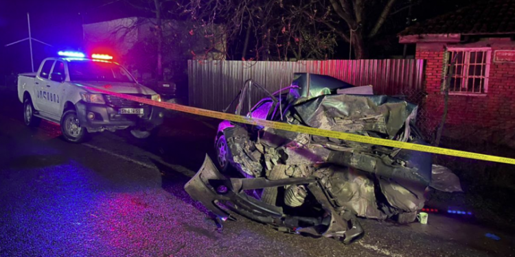 ერთი ადამიანის სიცოცხლე ემსხვერპლა ავარიას ლაგოდეხში