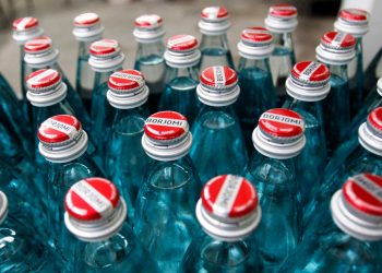 სანქციების გამო „ბორჯომი“ მუშაობას აჩერებს