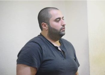 მშობლების მკვლელობაში ბრალდებული დანაშაულს სრულად აღიარებს