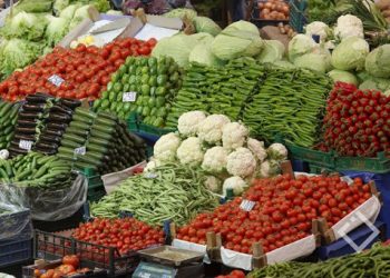 სოფლის მეურნეობის პროდუქტების 10%-იანი გაძვირებაა მოსალოდნელი – ივა ჭყონია